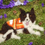 Search dog in petals_ small