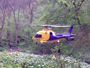 cheedale-2