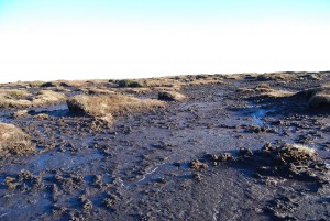 kinder-bog-small