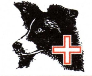 SARDA Emblem001