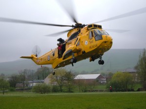 Seaking small 2