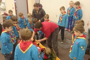 Sutton Beavers