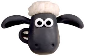 Shaun 1